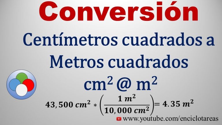 pasar-de-cm2-a-m2-actualizado-febrero-2024